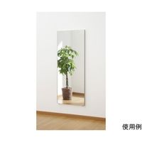 J.フロント建装 ビッグ姿見ミラー 60×150cm シャンパンゴールド RM-5-SG 1個 65-0325-24（直送品）