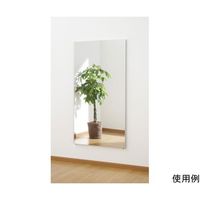 JOURNAL STANDARD FURNITURE オールドエルムミラー ジャーナルスタンダードファニチャー / journal standard