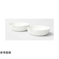 ユラボジャパン 蒸発皿(平底/磁製)φ160×40mm DF-150 1個 65-5674-20（直送品）