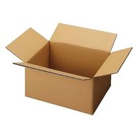 セッツカートン 無地ダンボール厚手 通販 - アスクル