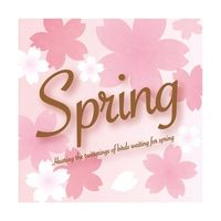 アズワン テーマPOPポスター さくらスプリング 36×36cm 10枚 68-0950-45 1枚(10枚)（直送品）