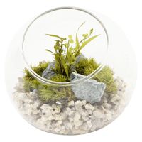 プリザーブドモス（S） グレー LAKOLE/ラコレ