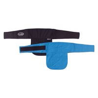 ファミリー・ライフ ひんやりネッククーラー クールレジャー a33037 1個（直送品）