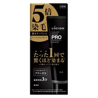 LUCIDO（ルシード） カラーリンスPRO パーフェクトブラック 120g マンダム