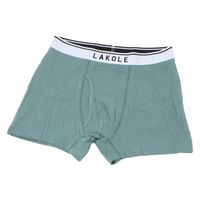 メンズ コットンロゴ無地ボクサーパンツ2 エメラルドグリーン L LAKOLE/ラコレ