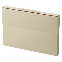 リヒトラブ Roomy ケースファイル A4 ベージュ A799-16 1冊