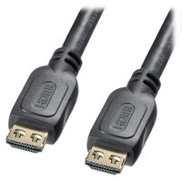 サンワサプライ ラッチ付HDMIケーブル(10m) KM-HD20-P100L 1個