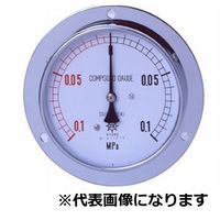 第一計器製作所 IPT一般圧力計 【DUR1/2ー100X160MPA】 DUR1/2-100X160MPA 1個（直送品）