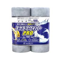 {NX XNuCp[PRO2{×12=1C SWR2020 1(24{)iij