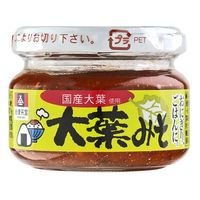 会津天宝醸造 会津天宝 大葉みそ 100gx12 4901141123800 1セット(12個)（直送品）