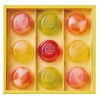 (株)中島大祥堂◆ 中島大祥堂 Hitotoe ピッコロドルチェ 9号x8 4902151265092 1セット(8個)（直送品）