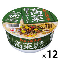 サンポー食品 九州三宝堂 高菜博多ラーメン 97g 1セット（1個×12）