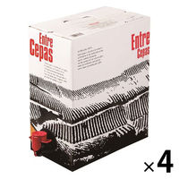 スペイン エントレ・セパス　バッグインボックス 3L　赤ワイン　ミディアムボディ 1セット（1個×4）　ユニオンリカーズ