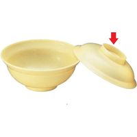 台和 飯丼 クリーム DP-1