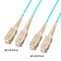 TTvC R[hW^t@CoP[ui}`50mOM3A[SC×2A100mj HKB-CSOM3SCSC-100iij