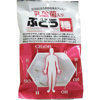 大丸本舗 乳酸菌入り ぶどう糖 2g×20粒 1袋(20粒)