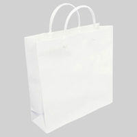 エヒメ紙工 ラミネートバッグ小 白 PPS-WH 1枚