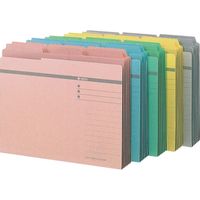 ライオン事務器 3カットフォルダー No.43ー6P 青 13256 1組