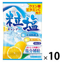 粒塩キャンデー 扇雀飴本舗 塩分補給 飴