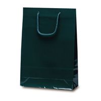 ベルベ 手提げ 紙袋 1162 ナイスバッグ ダークグリーン 1包(10枚)