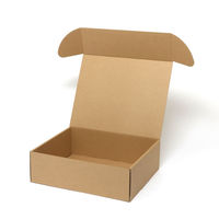 シモジマ ナチュラルBOX Zー23 006202310 1袋(10枚)