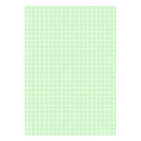 共栄プラスチック 下敷 しっかりシタ字キ A4 方眼/無地リバーシブル メロン SHS-A4-01 1枚