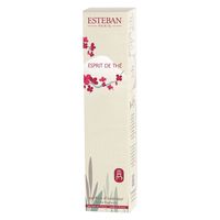 エステバン エスプリ ド テ ルームスプレー 75mL 芳香剤 日本香堂