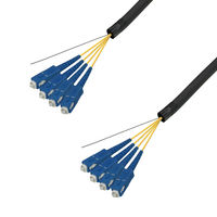_Cgh DFC-SMSCSC-FDL41(46M) 1{iij