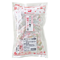 熱中カリカリ梅 業務用 480g 1袋 赤城フーズ 塩飴・塩タブレット 塩分補給