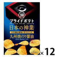 KOIKEYA PRIDE POTATO（湖池屋プライドポテト）日本の神業 九州焼のり醤油 1セット（1袋×12） 湖池屋