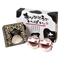 FUJI 王様のショコラ&ベリーレアチーズセット 1箱（直送品）