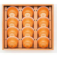 FUJI 夕張メロンピュアゼリープレミアム12個入り HYPJP12 1箱（直送品）