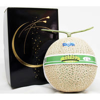 くだものの山長 高知県産マスクメロン 1玉(化粧箱) 4582626933130 1箱（直送品）