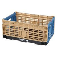 フォールディング メッシュ ストレージ 48L コヨーテ / ブルー V21-0347CO/BL DULTON/ダルトン