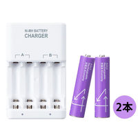 充電池＋充電器 550mAh 単4形 パープル 2本 ニッケル水素充電池専用 1セット オリジナル