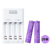 充電池＋充電器 550mAh 単4形 パープル 20本 ニッケル水素充電池専用 1セット オリジナル