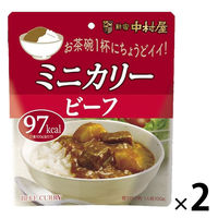 新宿中村屋 ミニカリー ビーフ 1人前・100g 1セット（1個×2）レトルト