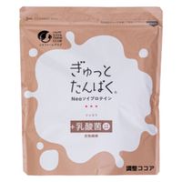 ぎゅっとたんぱくショコラ 1個 不二製油