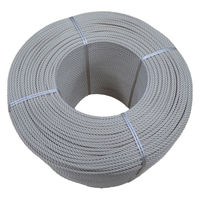 ysAizeUbN ыƗp h[p W{GrX 3.0mm×500m 1iij