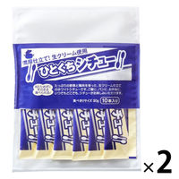 ひとくちシチュー 食べきりサイズ 30g×10本入 1セット（1個×2）宮島醤油 レトルト