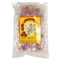 日邦製菓 日邦 塩キャラメル 55gx12 4902137220695 1セット(12個