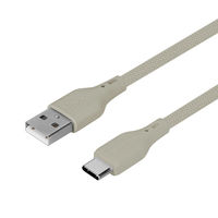 IEebN 炩Œfɋ Type-A to Type-C VRP[u OWL-CBSRCA15-MGY 1
