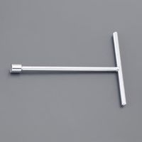 エスコ 21x300mm T型BOXレンチ EA618GG-21 1丁（直送品）