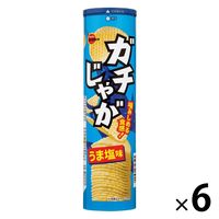 のり塩 送料込み】ソシオ工房 フラ印ポテトチップスのりしお 160g×12個