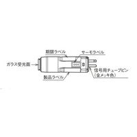 AYr @ AUD20C100D 1iij