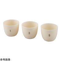 アズワン 番号付きアルミナるつぼ 器 50mL(1ー10番号入 10個一式) 4-5244-13 1個（直送品）