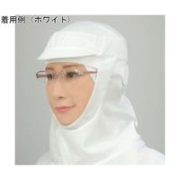 日本フィットフード フィットフード エポックメイキングバージョン ツバ・マスク掛け付き