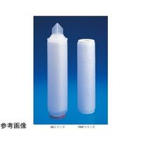 日本ポール プロファイルII RMFタイプ(エンドシール) 10インチ 0.5μm RM1F005W 1本 65-3370-27（直送品）