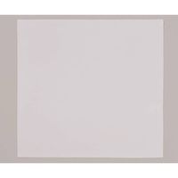 ミヤマ産業 クリーンチーフ 30×28cm 1袋(100枚入) 601 1袋(100枚) 64-8959-54（直送品）