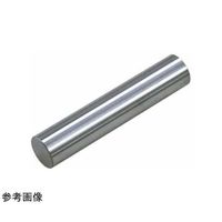 アイゼン ピンゲージ プラケース付 呼び寸法13.00mm EP13.00 1本 65-4029-08（直送品）